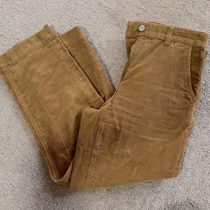 Everlane corduroy pants